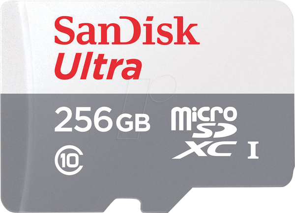 SanDisk 256GB